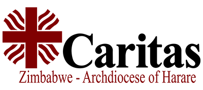 rainboweye.co.zw banners, vinyl, pvc & canvas , 2023 diaries2023, letterheaads , flyers , tshirt printing, logo designing, digital printing, calendars, canvas printing, graphic designing services,  business cards , roll up banners